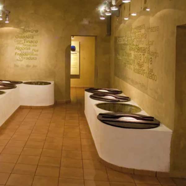 Museo del Aceite en Segorbe