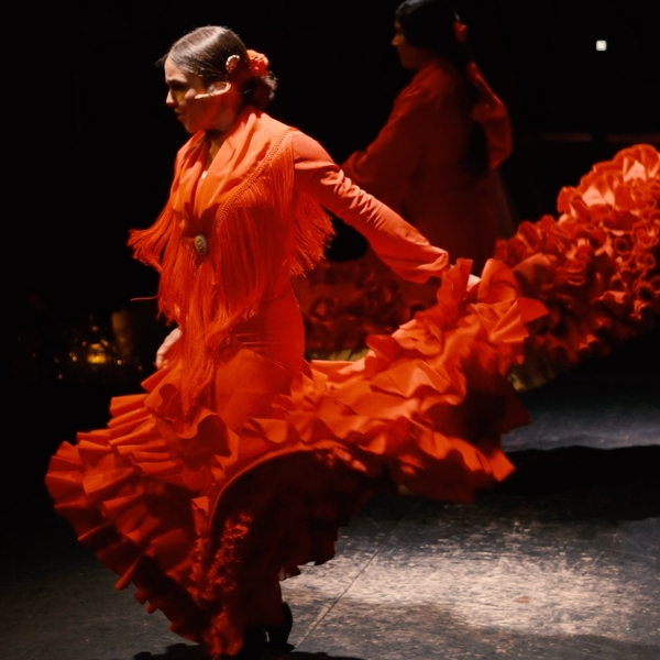 Teatro Flamenco Barcelona City Hall