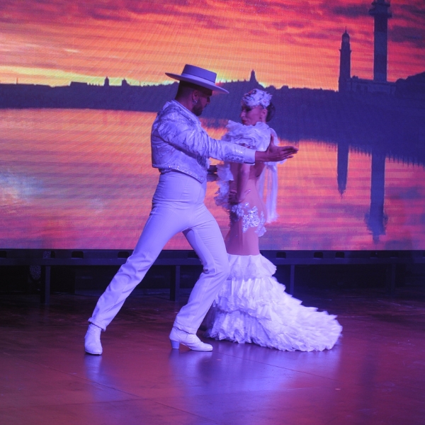 Espectáculo Flamenco en el Castillo San Miguel