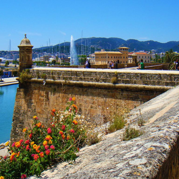 Tour por el centro de Palma