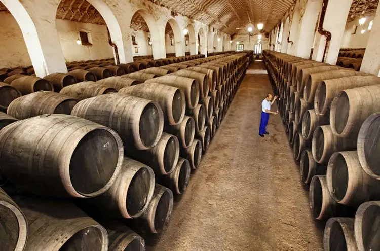 Bodega Pérez Barquero en Montilla