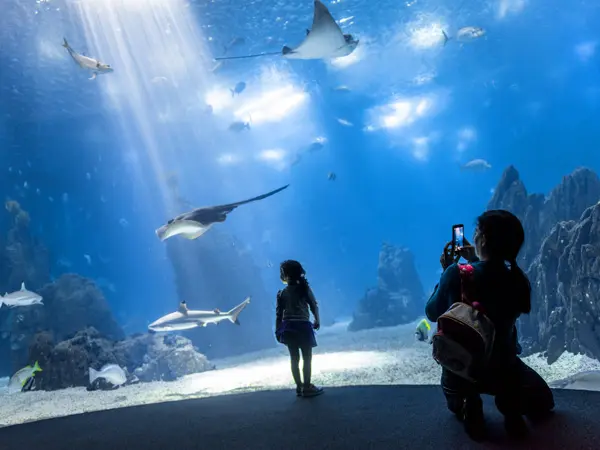 Oceanário Lisboa